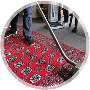 Area rug Cleaning Service Icon