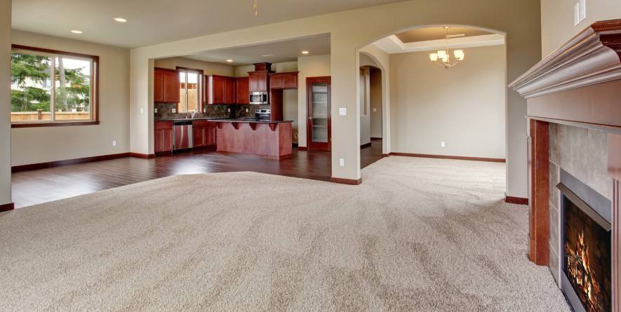 Spacious living room with clean, plush carpet, showcasing a modern kitchen in the background, emphasizing a comfortable home environment ideal for carpet cleaning services.