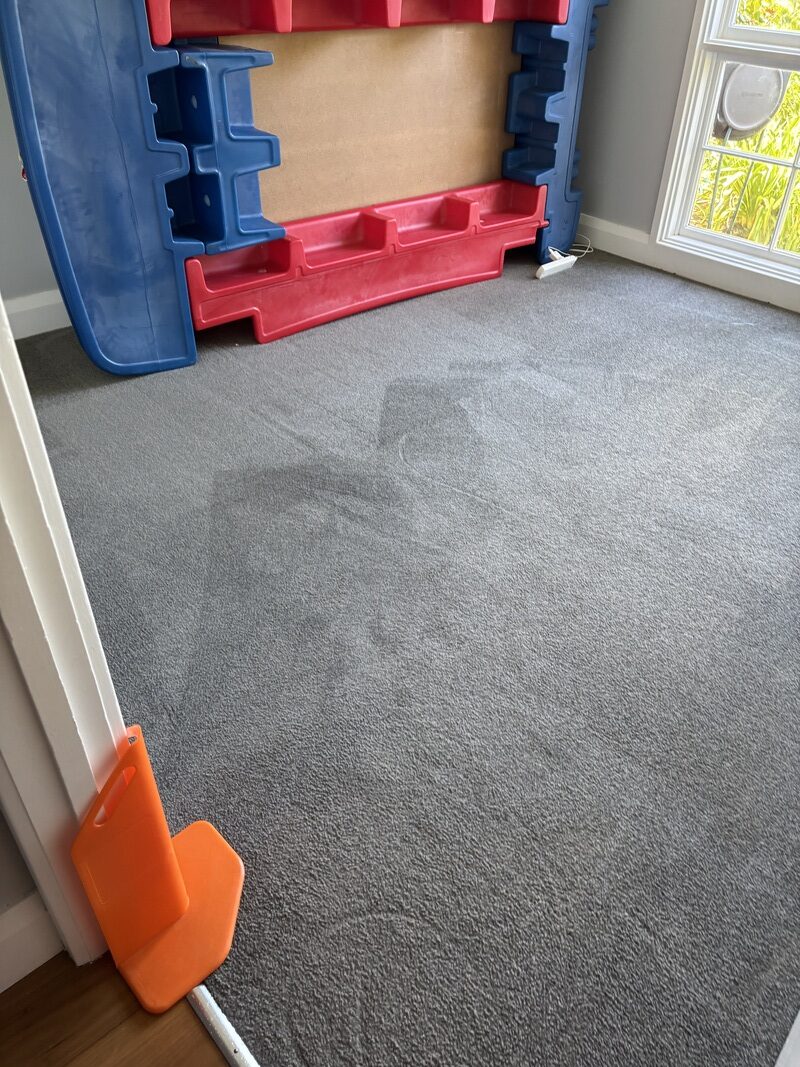 Cleaned bedroom carpet with no visible stains, featuring a colorful plastic play structure in the background, showcasing effective carpet restoration after a child's accident.