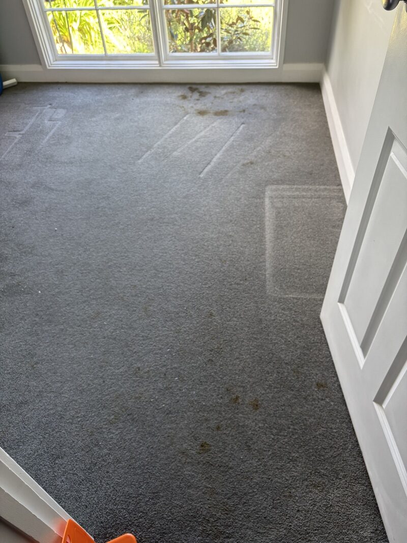 Bedroom carpet with visible stains and soiling, indicating a child's accident, in need of professional cleaning services by Exceed Carpet Cleaning in Kambah, ACT.