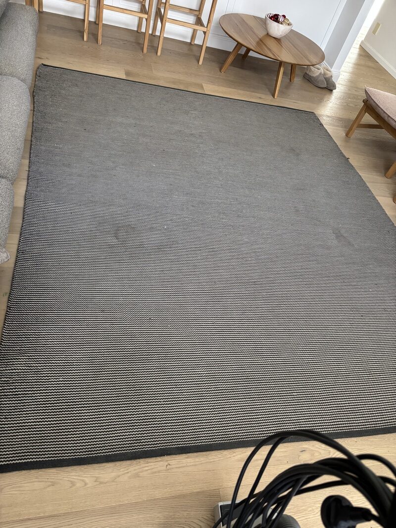 Area rug showing signs of wear and dirt in a family living room, highlighting the need for professional cleaning services before holiday gatherings.