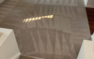 Jerrabomberra’s Same-Day Carpet Revival That Saved Teri’s Bond