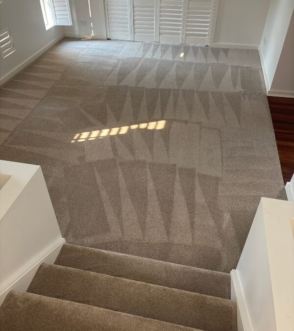 Jerrabomberra&rsquo;s Same-Day Carpet Revival That Saved Teri&rsquo;s Bond
