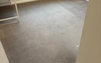 Carpet Revitalization Magic in Curtin, ACT