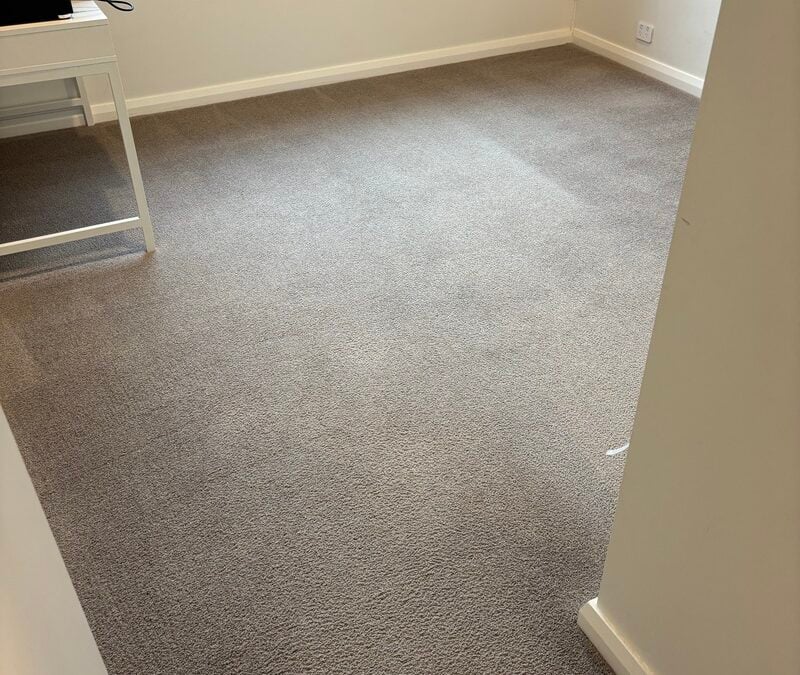 Carpet Revitalization Magic in Curtin, ACT