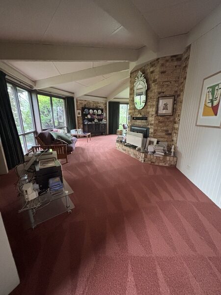 Professional Carpet Refreshing in Garran, ACT: How We Saved Ilona’s Carpets After a Puppy Accident