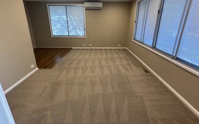 End of Lease Carpet Revival in Kambah, ACT That Won Serah’s Bond Back