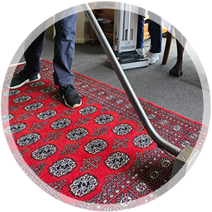 Area rug Cleaning Service Icon