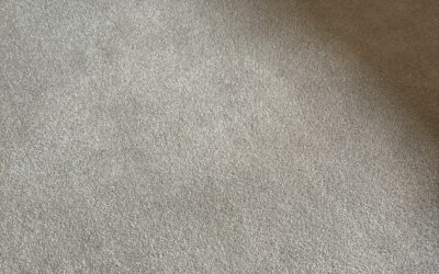 Carpet Cleaning & Stain Removal in Kambah: Ros’ Remarkable Carpet Transformation