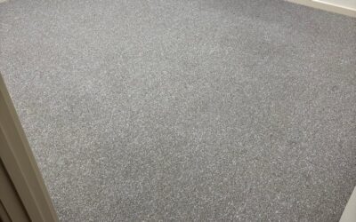 Carpet Cleaning in Canberra That Saves Your Bond