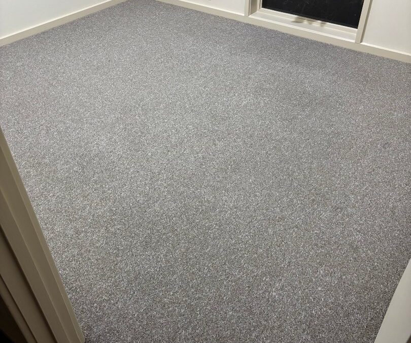 Carpet Cleaning in Canberra That Saves Your Bond