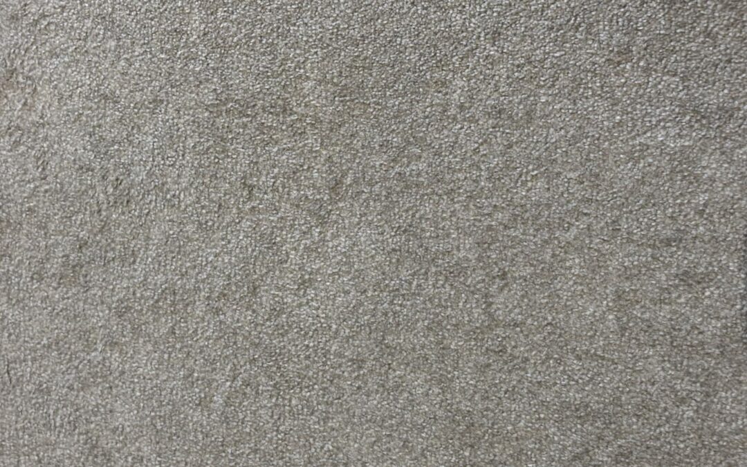 Clean, freshly cleaned carpet surface showcasing effective stain removal by Exceed Carpet Cleaning in Bruce ACT.