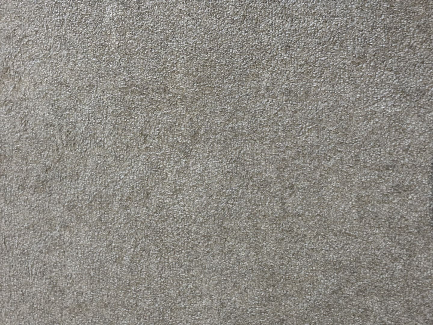 Freshly cleaned carpet with a soft texture, showcasing a uniform light beige color, reflecting the results of professional cleaning services by Exceed Carpet Cleaning.