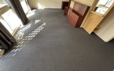 Carpet Cleaning and Deodorizing in Lyons ACT