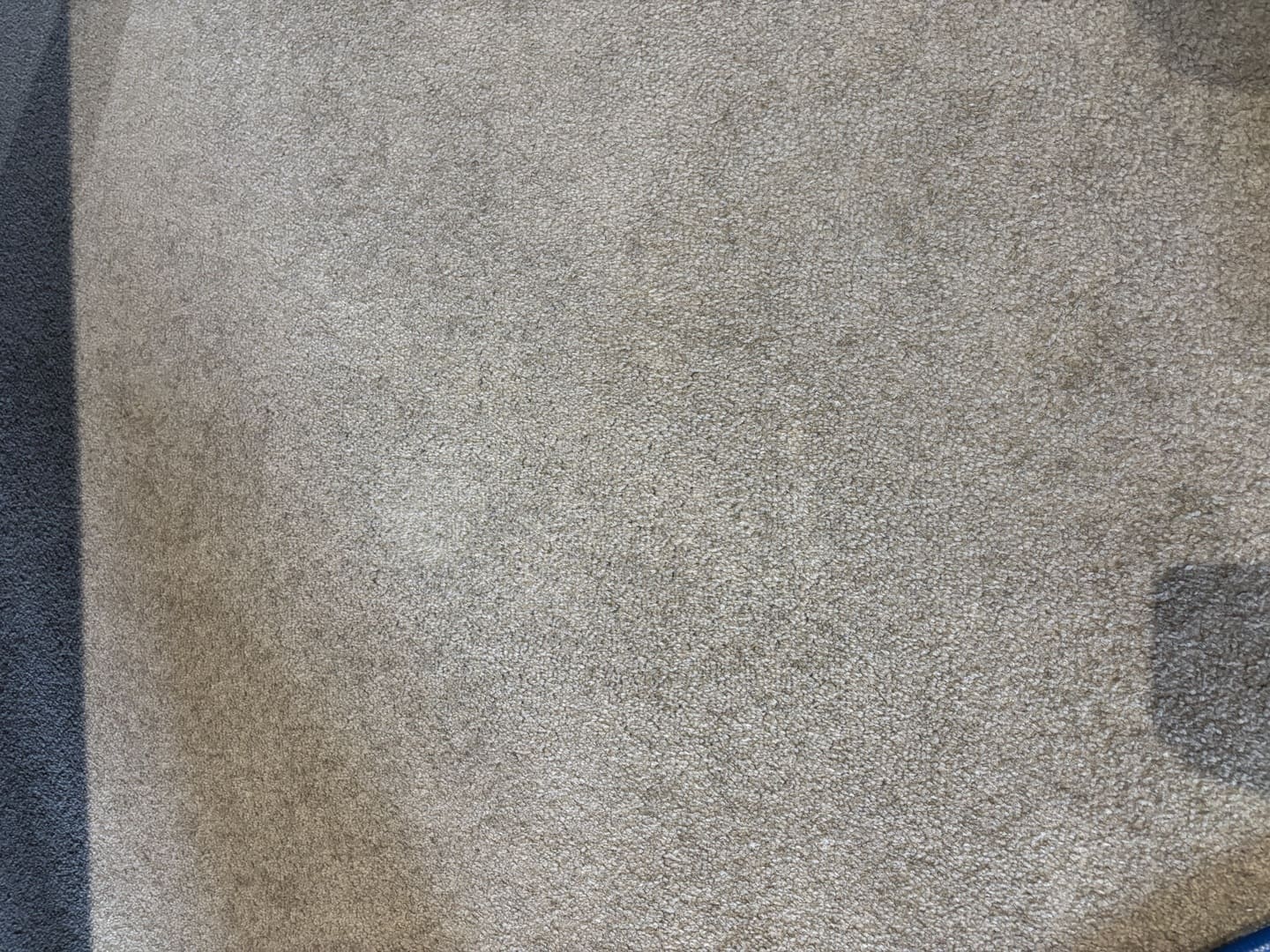Cleaned carpet showing removal of stubborn stains from Chinese food and acrylic paint, highlighting effective carpet cleaning results by Exceed Carpet Cleaning.