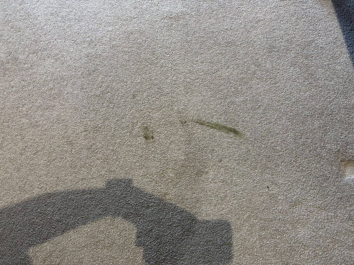Stubborn greenish stain on carpet before professional cleaning, highlighting the need for carpet restoration services in preparation for rent inspection.