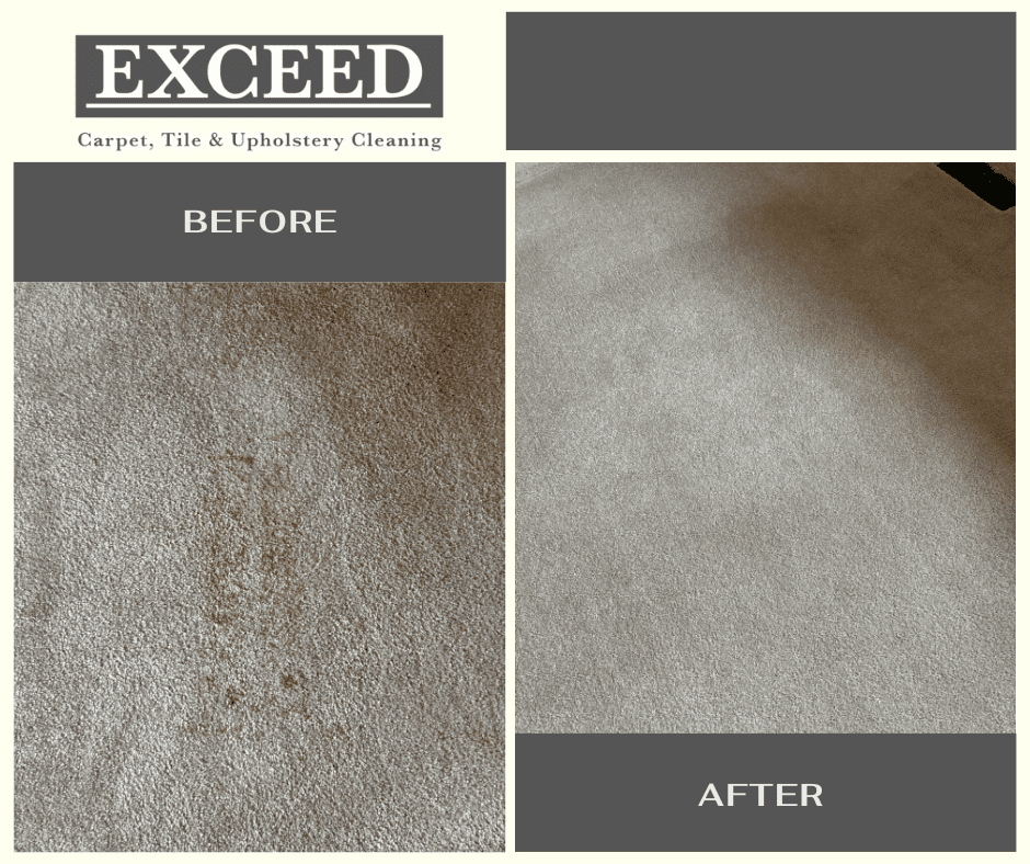 Brown Photo Collage Home Buddies Facebook Post